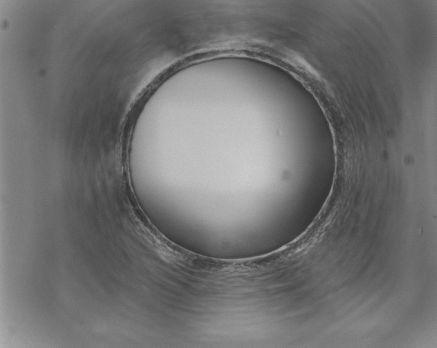 X0000069841216200606021353