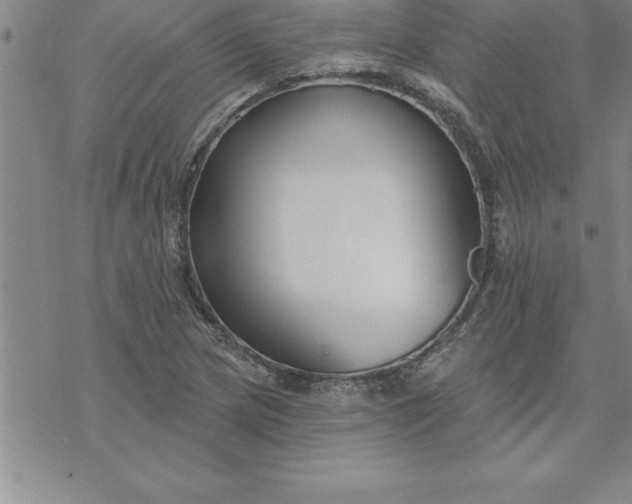 X0000069841217200606021353