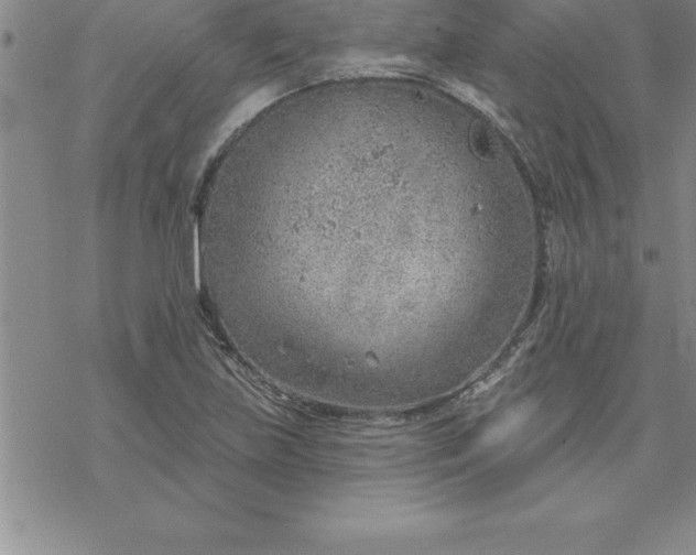 X0000069841219200606021353