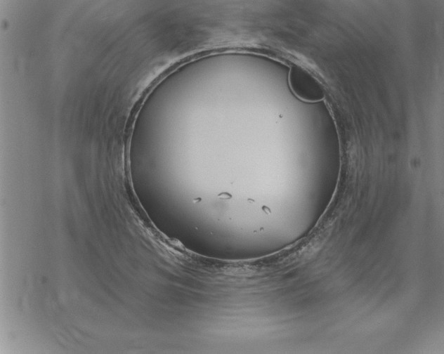 X0000069841220200606021353