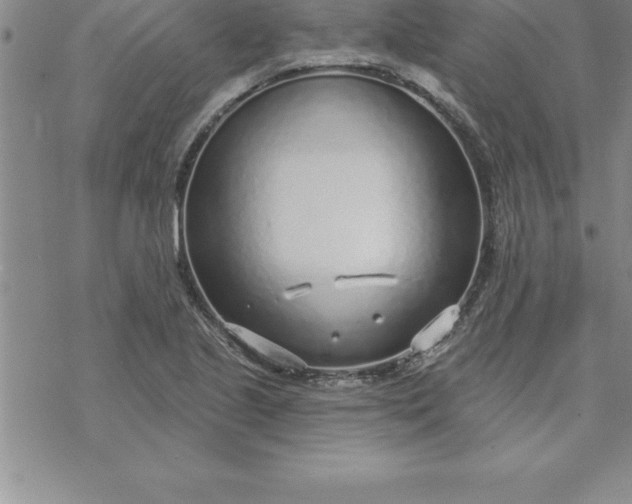 X0000069841221200606021353