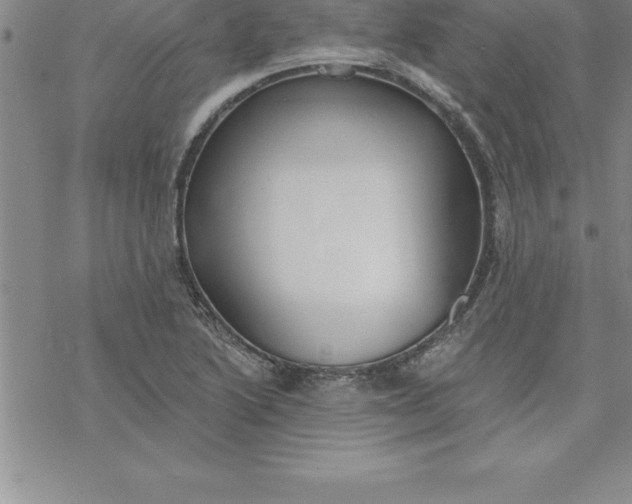 X0000069841222200606021353