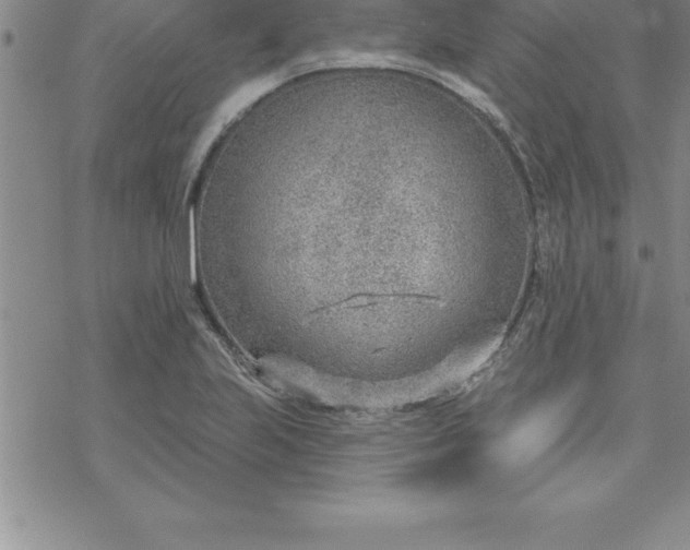 X0000069841223200606021353