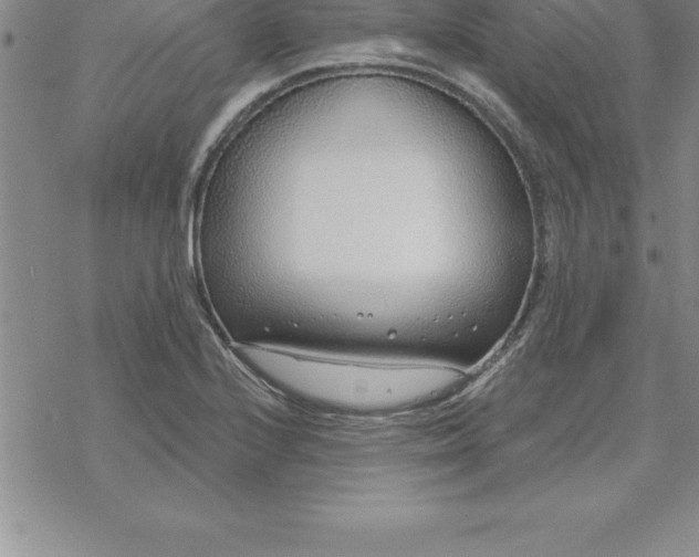 X0000069841224200606021353