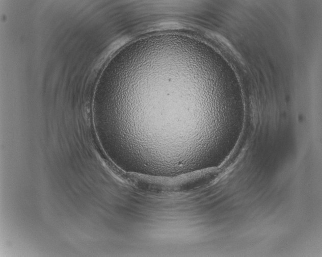 X0000069841225200606021353