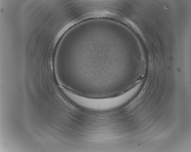 X0000069841226200606021353