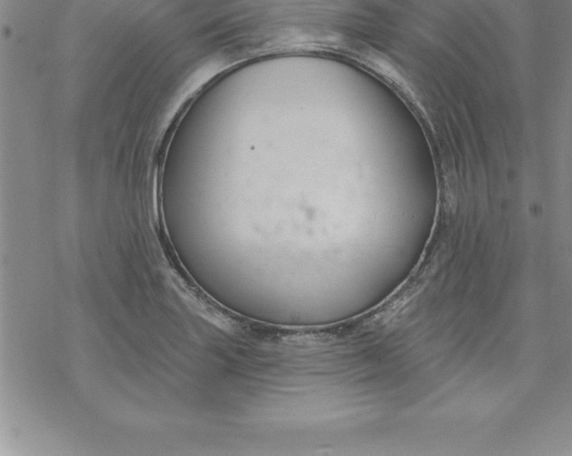 X0000069841227200606021353