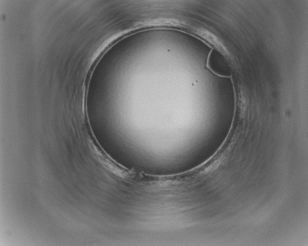 X0000069841228200606021353