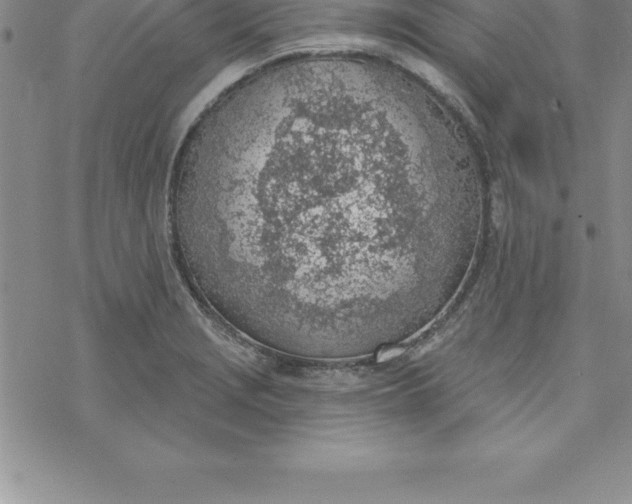 X0000069841229200606021353