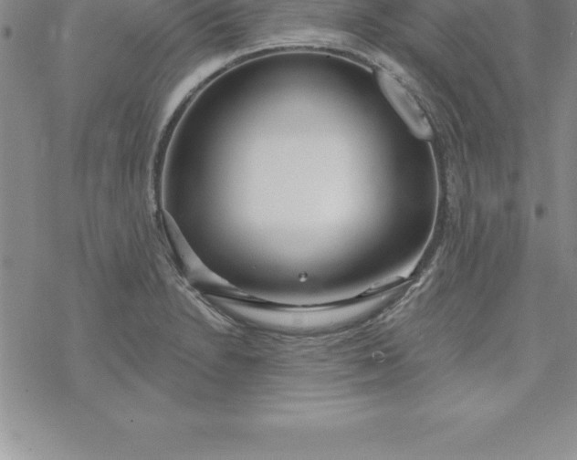 X0000069841230200606021353