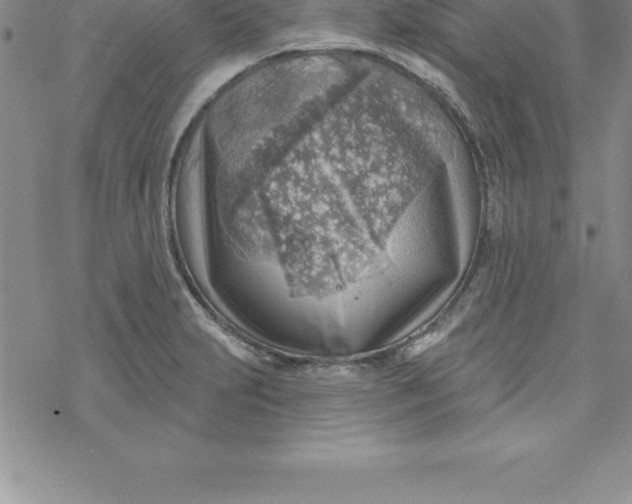 X0000069841231200606021353