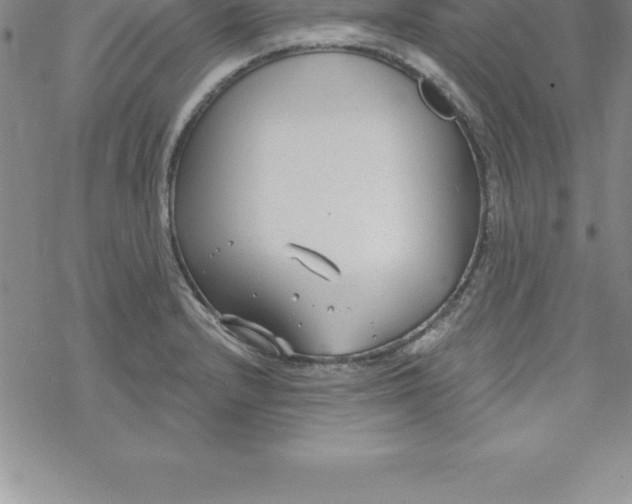 X0000069841232200606021353