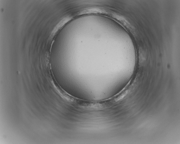 X0000069841233200606021353