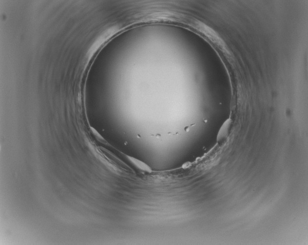 X0000069841234200606021353