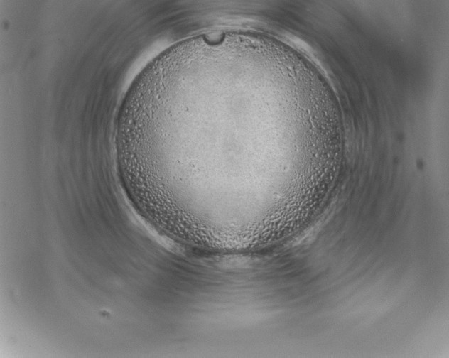 X0000069841235200606021353