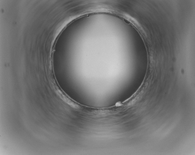 X0000069841236200606021353