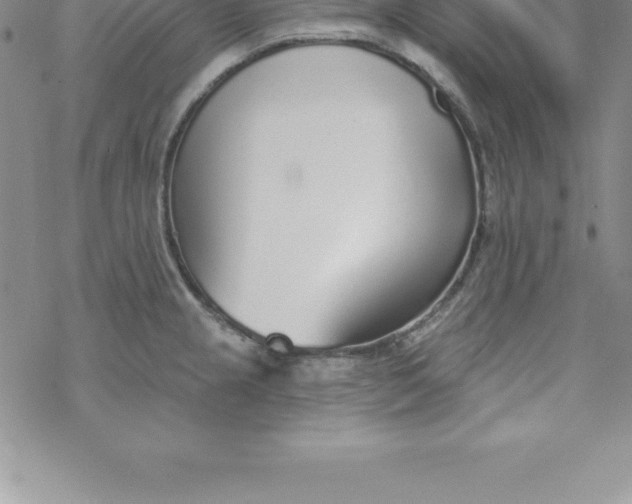 X0000069841237200606021353