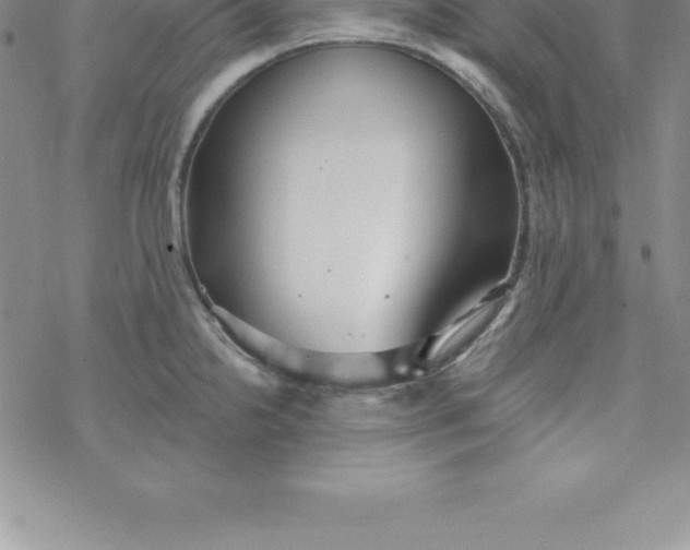 X0000069841238200606021353