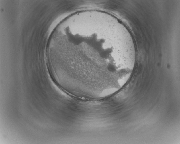 X0000069841239200606021353