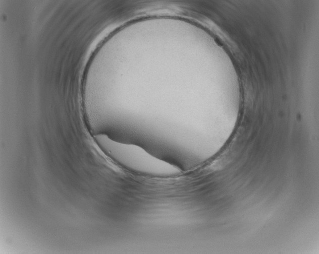 X0000069841240200606021353