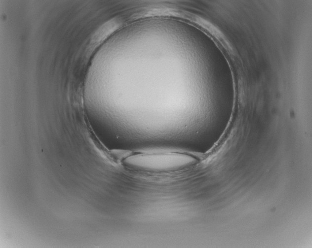 X0000069841241200606021353