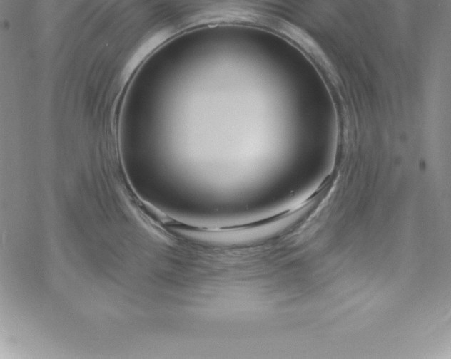 X0000069841242200606021353