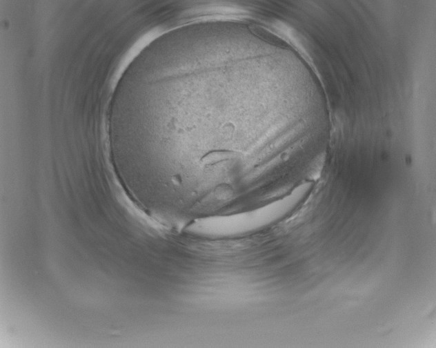 X0000069841243200606021353