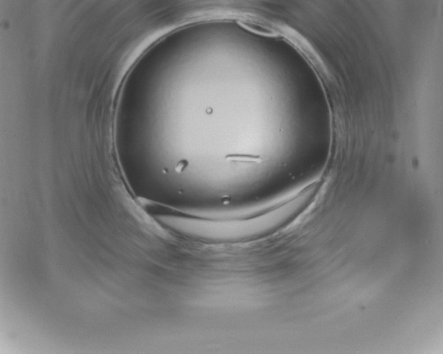 X0000069841244200606021353