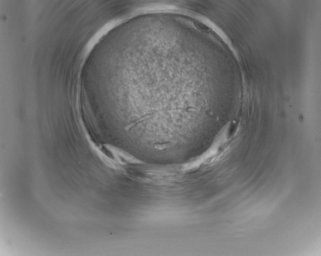 X0000069841245200606021353