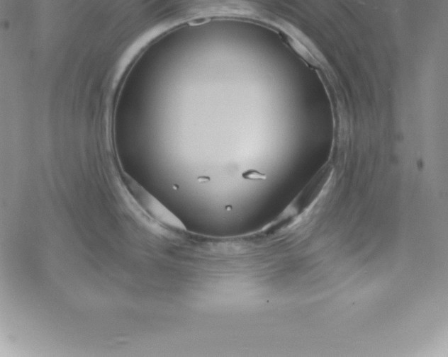 X0000069841246200606021353