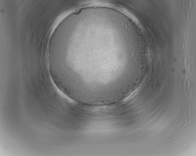 X0000069841247200606021353