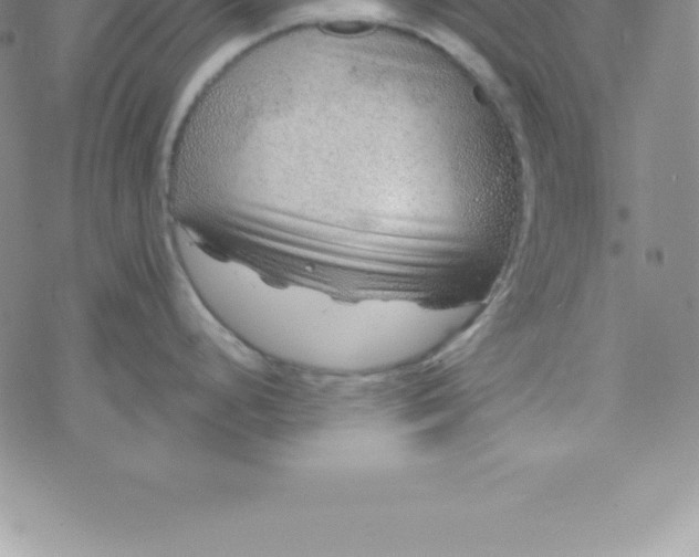 X0000069841248200606021353