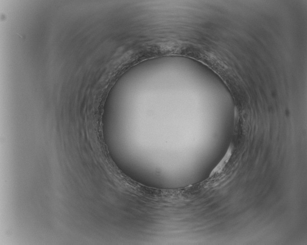 X0000069841249200606021353