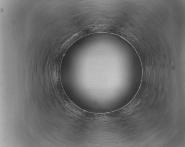 X0000069841250200606021353