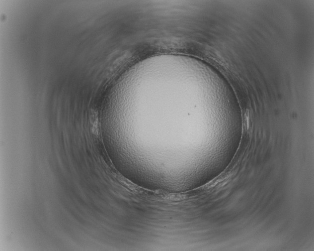 X0000069841251200606021353