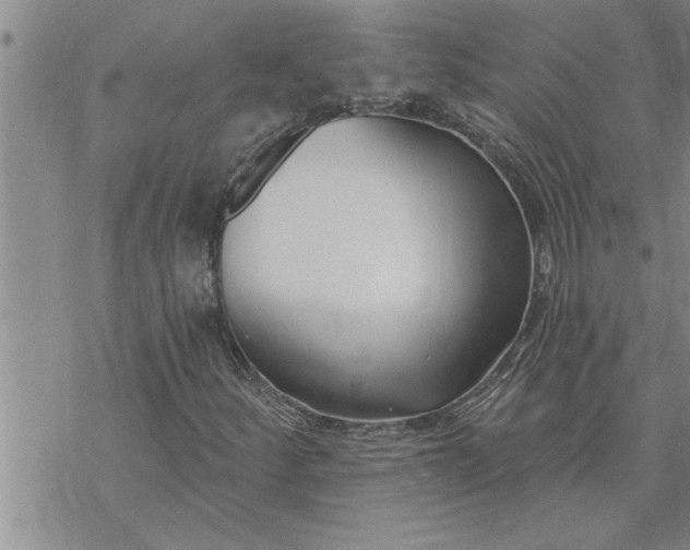 X0000069841252200606021353