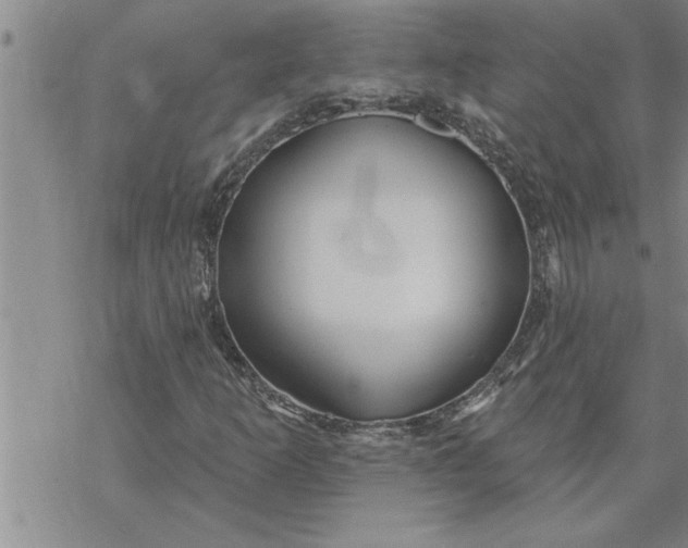 X0000069841253200606021353