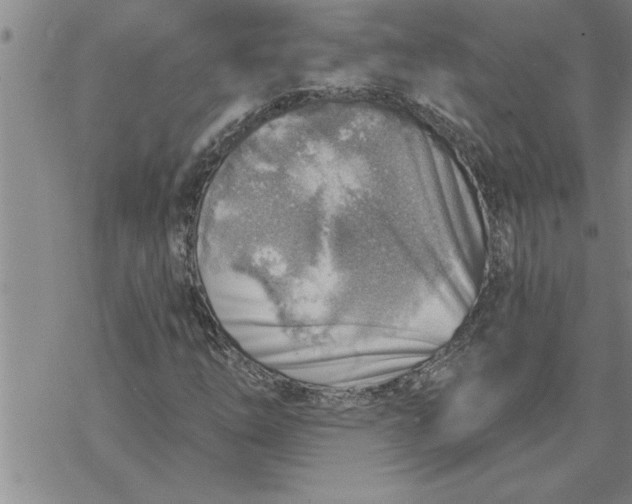 X0000069841254200606021352