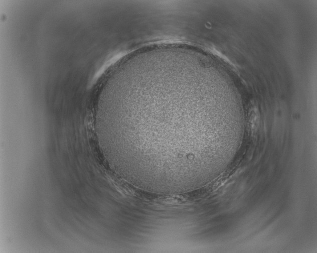 X0000069841255200606021352