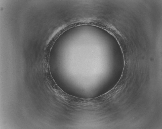 X0000069841256200606021352