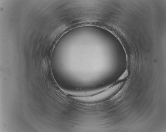 X0000069841257200606021352