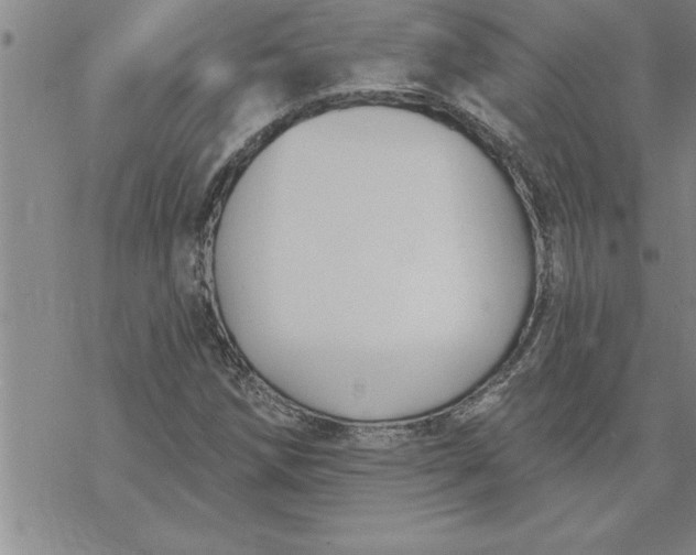 X0000069841258200606021352