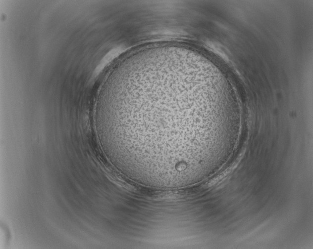 X0000069841259200606021352