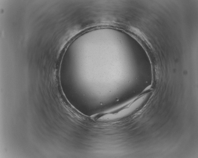 X0000069841260200606021352