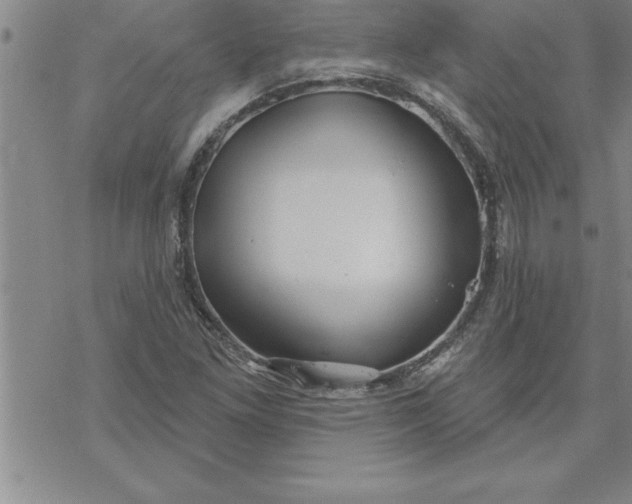 X0000069841261200606021352