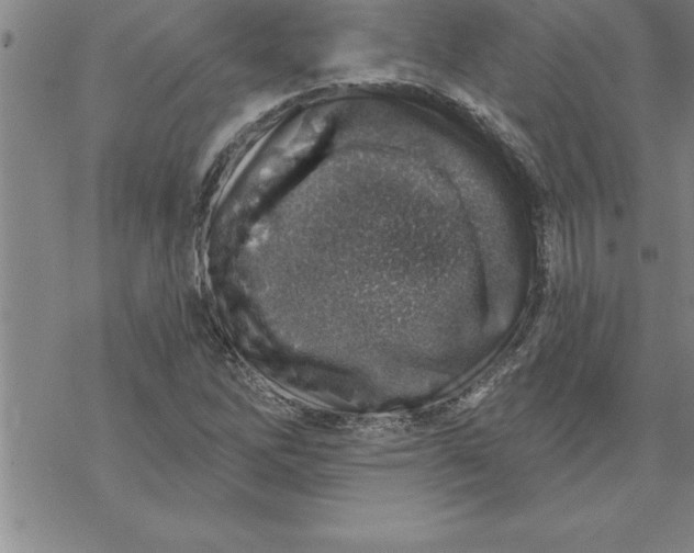 X0000069841262200606021352