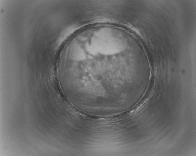 X0000069841263200606021352