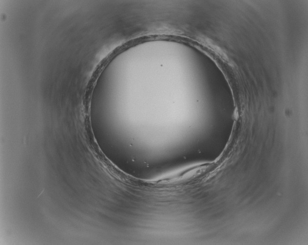 X0000069841264200606021352