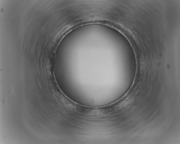 X0000069841265200606021352