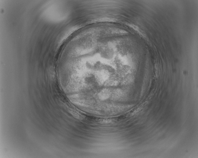 X0000069841266200606021352